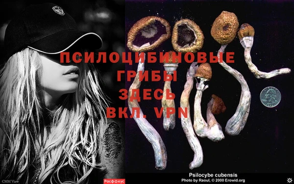 круглые Вязьма