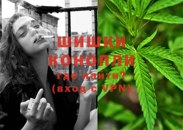 гидра Волоколамск