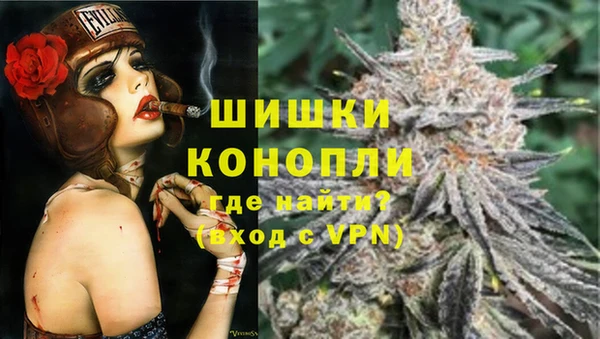 гидра Волоколамск