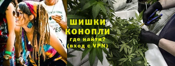 гидра Волоколамск